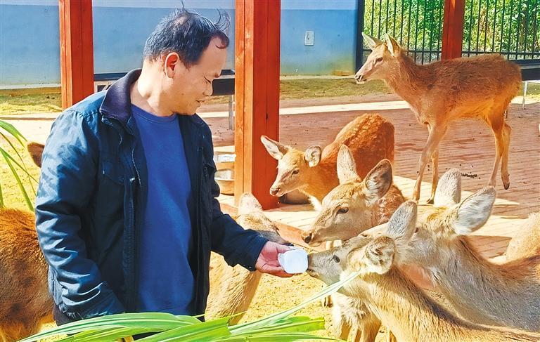 质量发展产业调研】林下生金不朽情缘平台登录入口【高